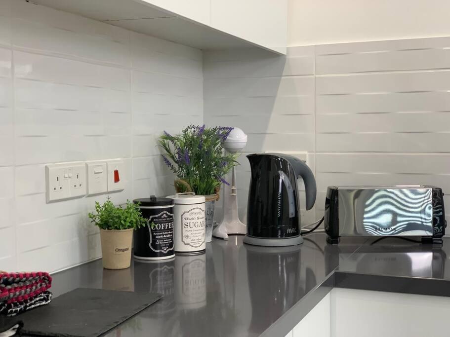 Glabur - The Luxurious 3 Bdr - Cozy Newly Renovated, Nicosia Apartman